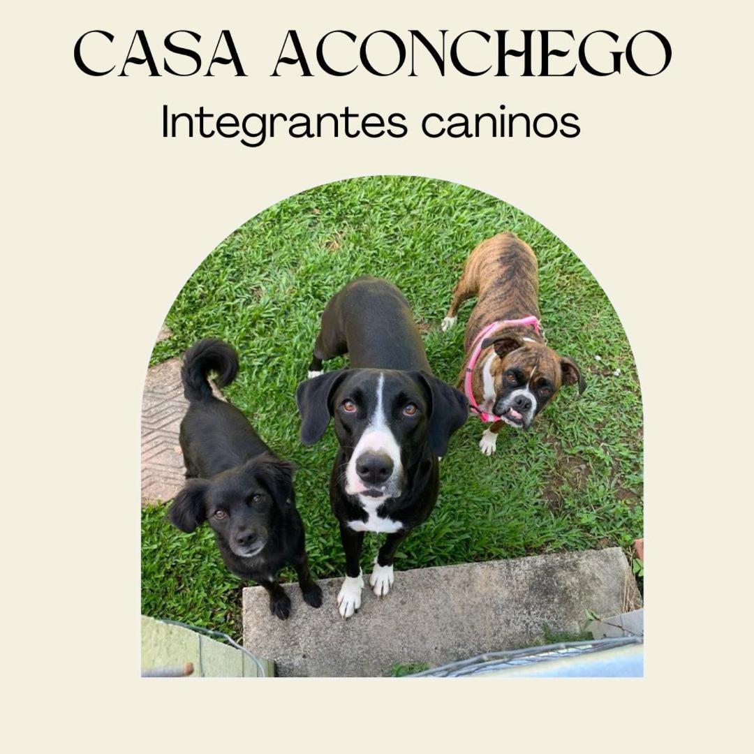 Casa Aconchego 345 Ao Lado Alles Park Pomerode Extérieur photo